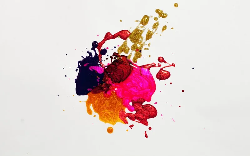 最新动态与报道 - 开云